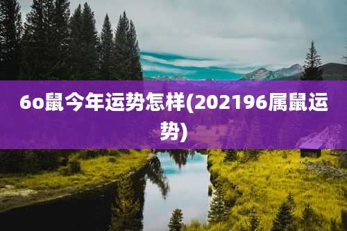 6o鼠今年运势怎样(202196属鼠运势)