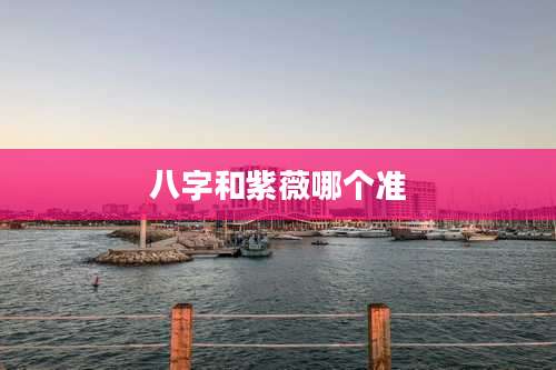 八字和紫薇哪个准