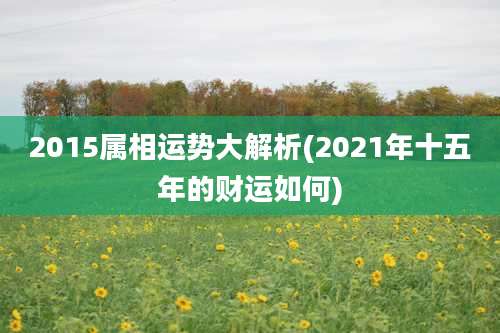 2015属相运势大解析(2021年十五年的财运如何)