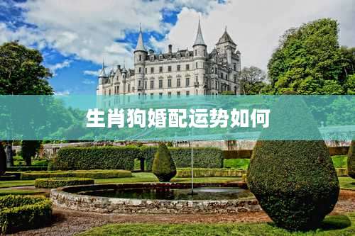 生肖狗婚配运势如何