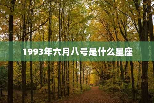 1993年六月八号是什么星座