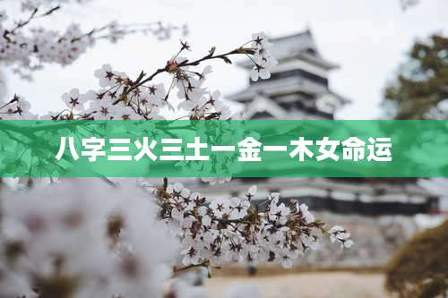 八字三火三土一金一木女命运