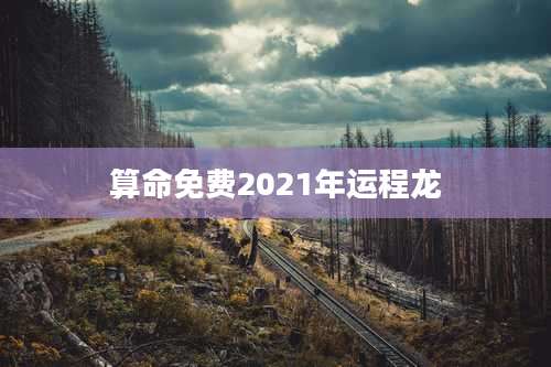 算命免费2021年运程龙
