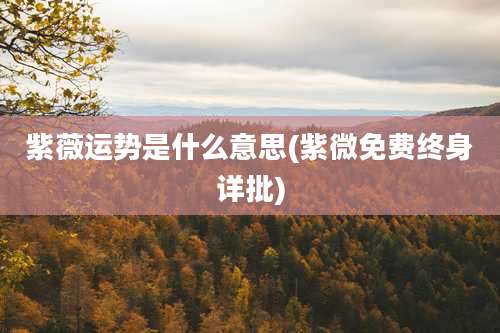 紫薇运势是什么意思(紫微免费终身详批)