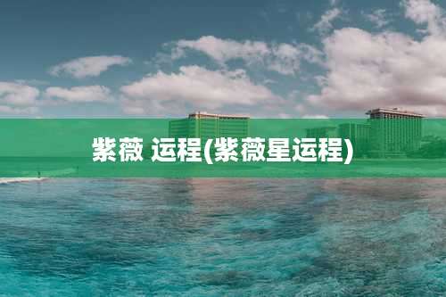 紫薇 运程(紫薇星运程)