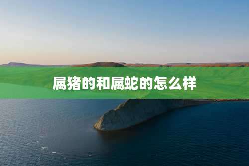 属猪的和属蛇的怎么样