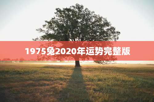 1975兔2020年运势完整版