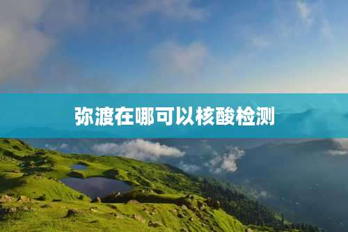 弥渡在哪可以核酸检测