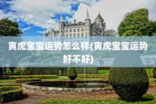 寅虎宝宝运势怎么样(寅虎宝宝运势好不好)