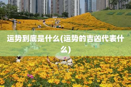 运势到底是什么(运势的吉凶代表什么)