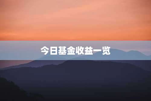 今日基金收益一览