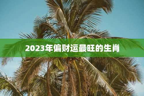 2023年偏财运最旺的生肖