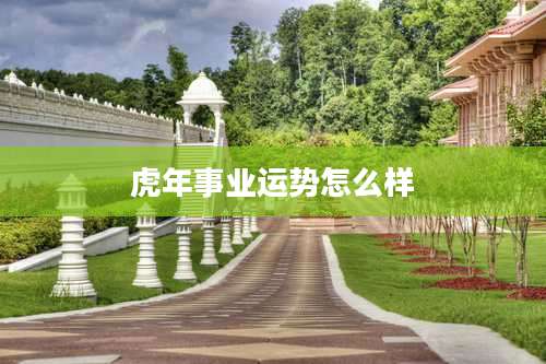 虎年事业运势怎么样