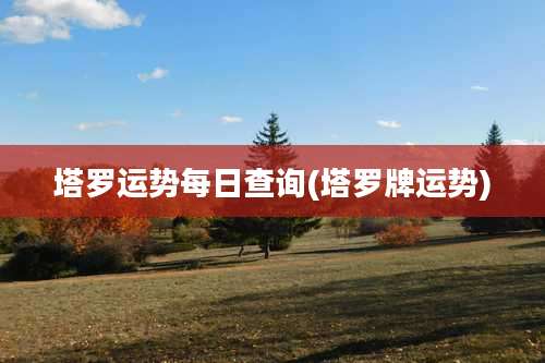 塔罗运势每日查询(塔罗牌运势)