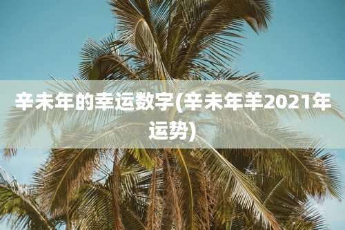 辛未年的幸运数字(辛未年羊2021年运势)