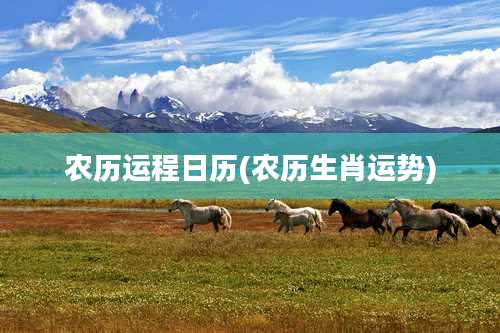 农历运程日历(农历生肖运势)