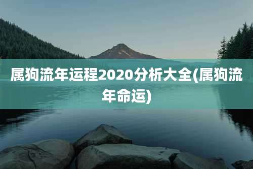 属狗流年运程2020分析大全(属狗流年命运)