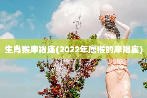 生肖猴摩羯座(2022年属猴的摩羯座)