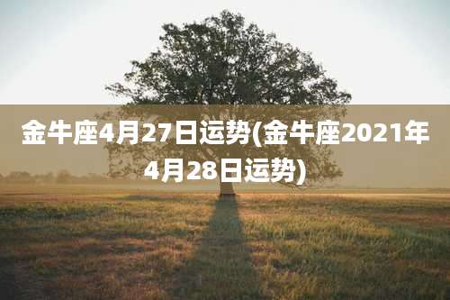金牛座4月27日运势(金牛座2021年4月28日运势)
