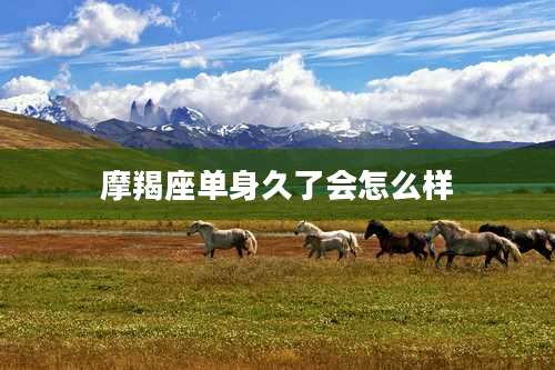 摩羯座单身久了会怎么样