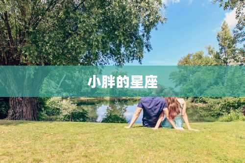 小胖的星座