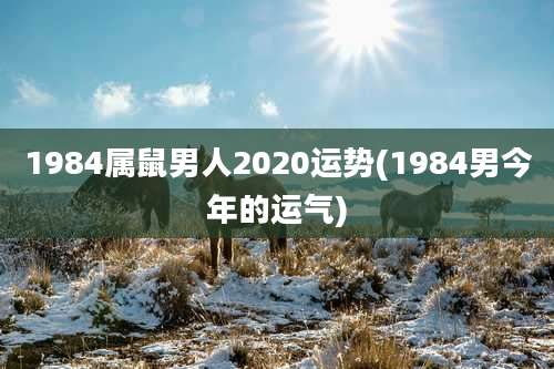 1984属鼠男人2020运势(1984男今年的运气)