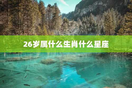 26岁属什么生肖什么星座