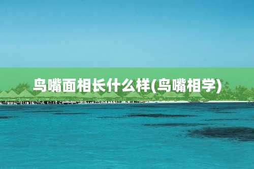 鸟嘴面相长什么样(鸟嘴相学)