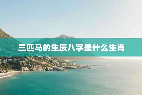 三匹马的生辰八字是什么生肖