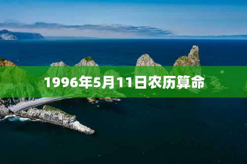 1996年5月11日农历算命