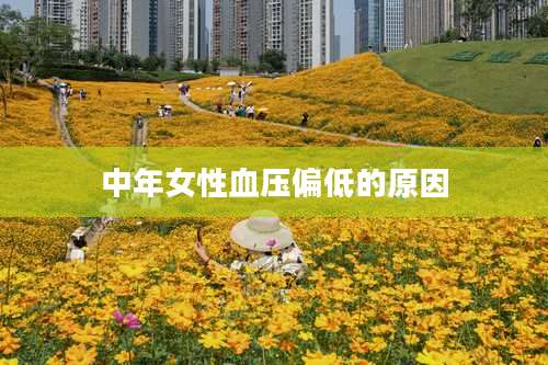 中年女性血压偏低的原因