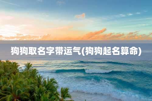狗狗取名字带运气(狗狗起名算命)