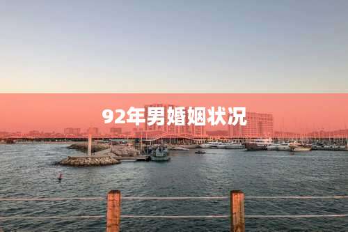 92年男婚姻状况