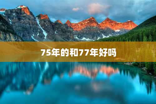 75年的和77年好吗