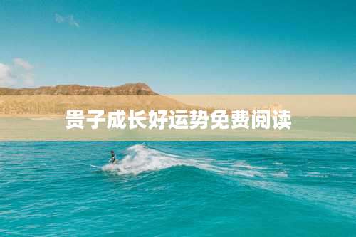 贵子成长好运势免费阅读