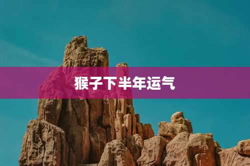 猴子下半年运气