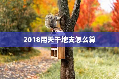 2018用天干地支怎么算