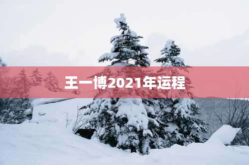 王一博2021年运程