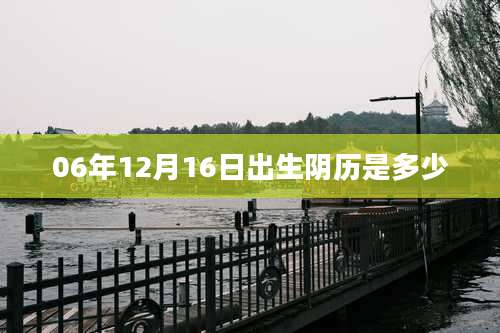 06年12月16日出生阴历是多少