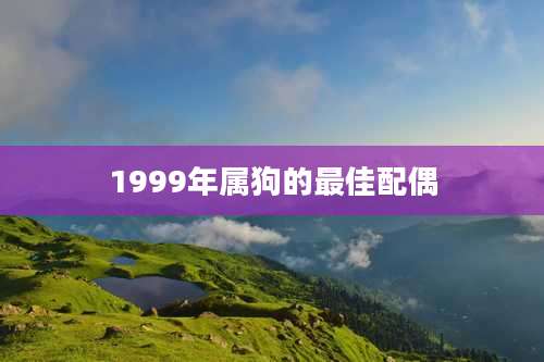 1999年属狗的最佳配偶