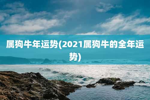 属狗牛年运势(2021属狗牛的全年运势)