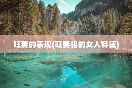 旺妻的表现(旺妻相的女人特征)