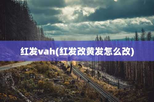 红发vah(红发改黄发怎么改)
