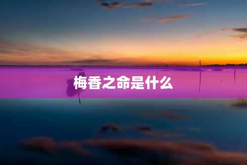 梅香之命是什么