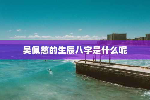 吴佩慈的生辰八字是什么呢