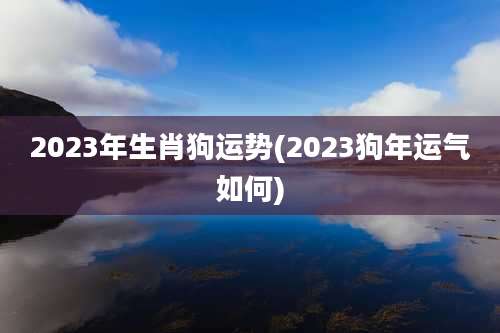 2023年生肖狗运势(2023狗年运气如何)