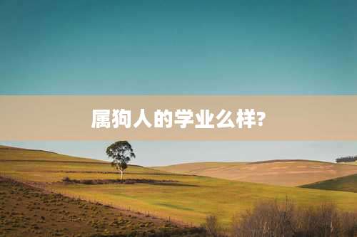 属狗人的学业么样?