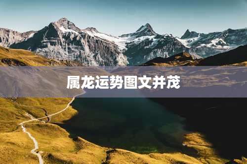 属龙运势图文并茂