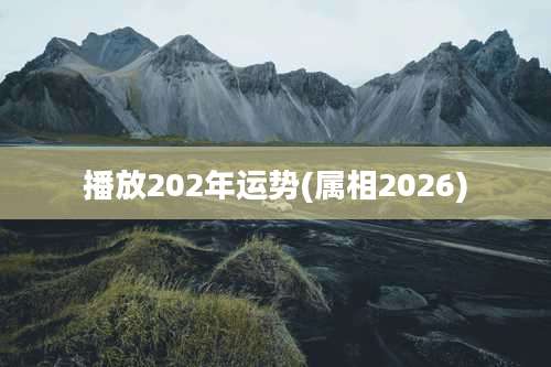 播放202年运势(属相2026)