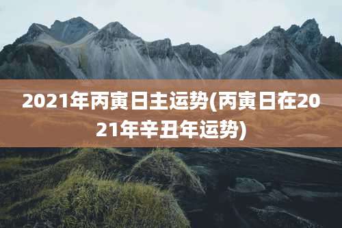 2021年丙寅日主运势(丙寅日在2021年辛丑年运势)